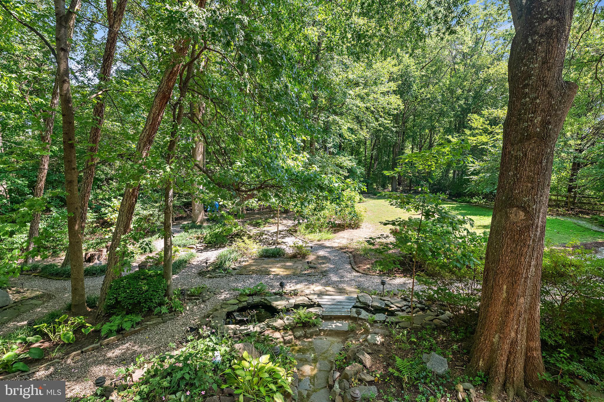 1701 Underwood Road Gambrills, MD 21054 - Photo 11 of 62 a view of a forest with trees