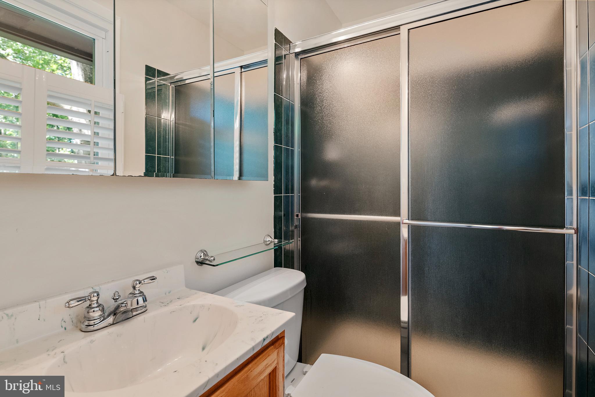 1701 Underwood Road Gambrills, MD 21054 - Photo 44 of 62 a bathroom with a shower and a sink
