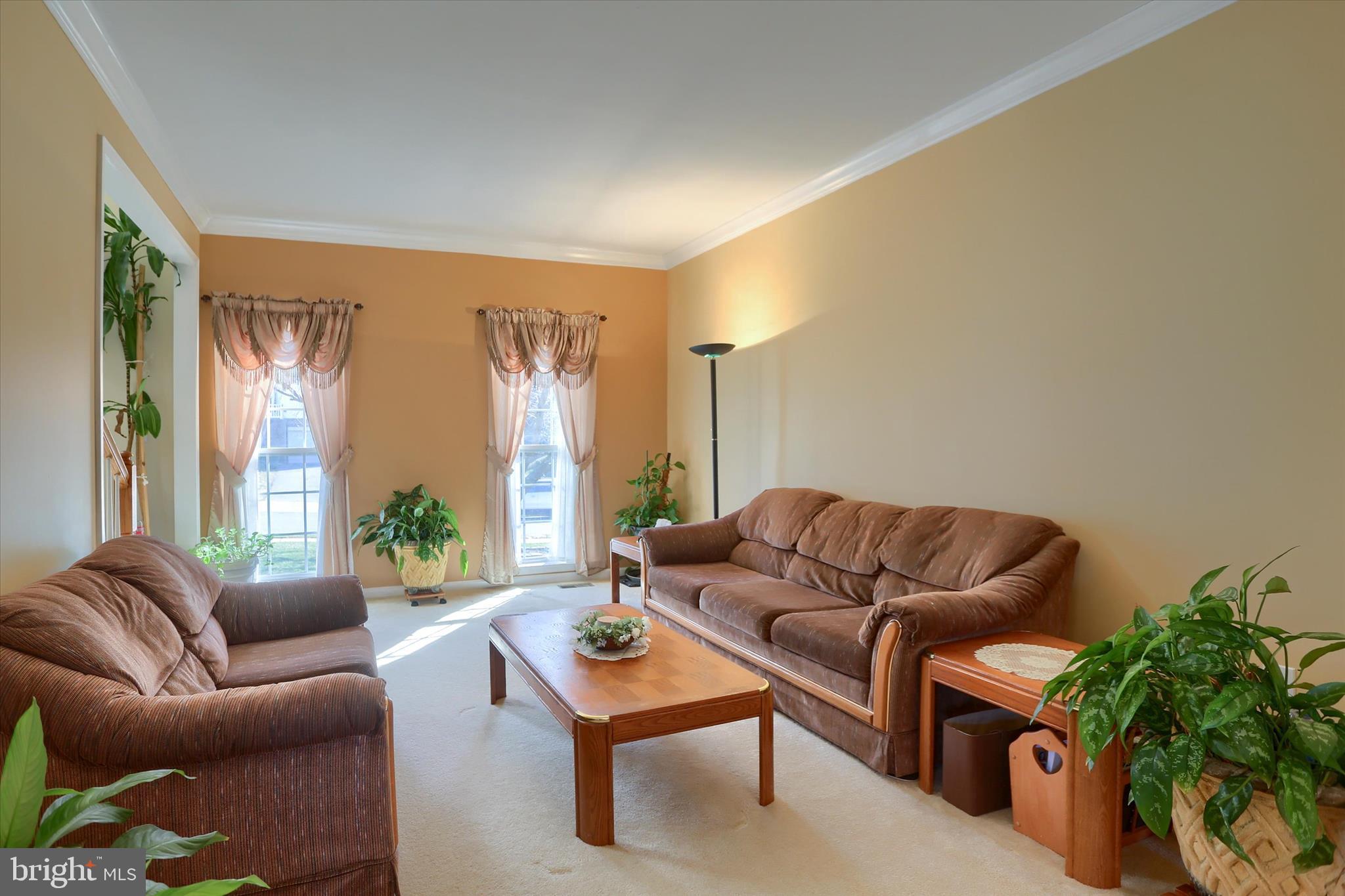 409 Wynwood Road York, PA 17402 - Photo 24 of 64 a living room with furniture and a potted plant