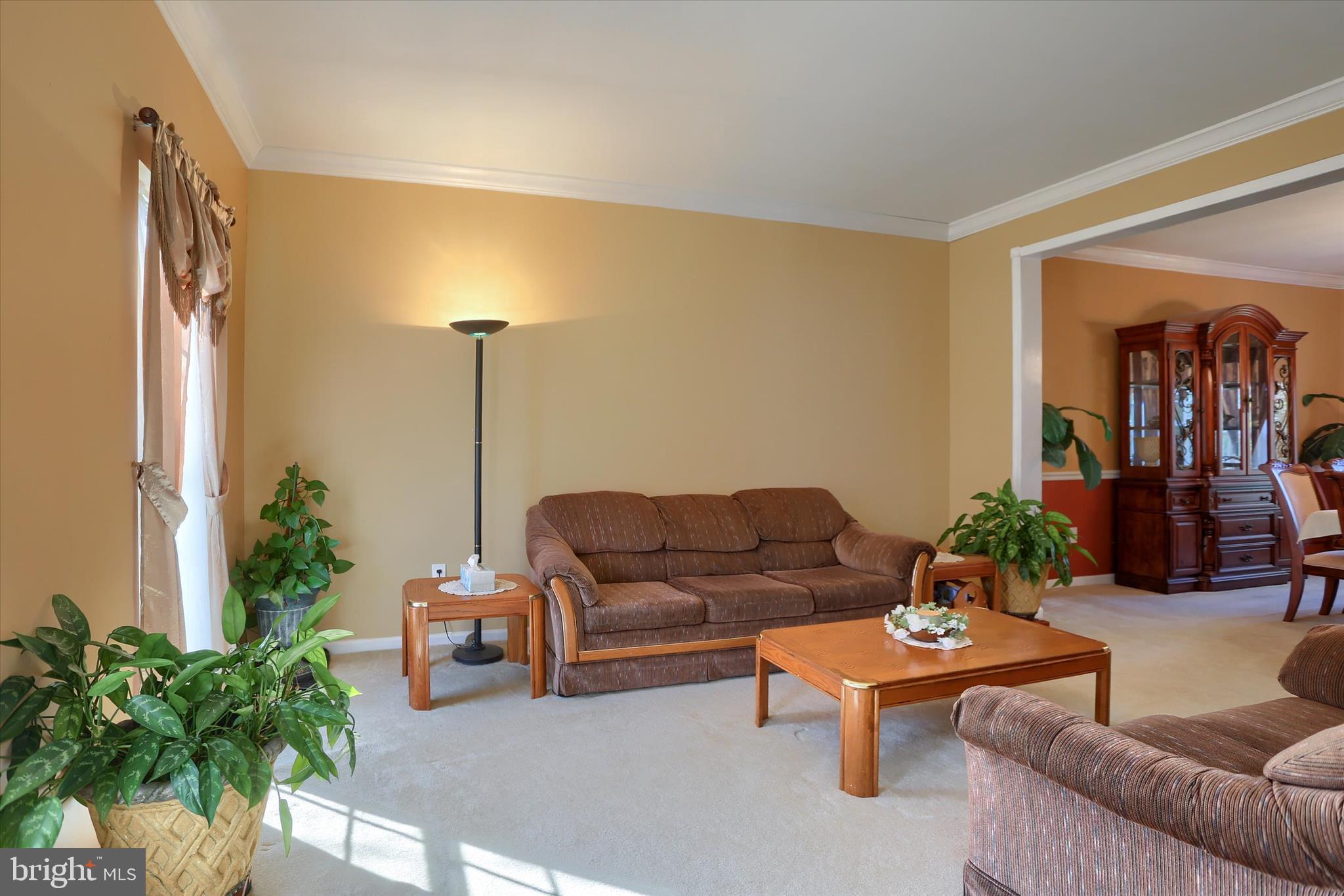 409 Wynwood Road York, PA 17402 - Photo 26 of 64 a living room with furniture and a potted plant