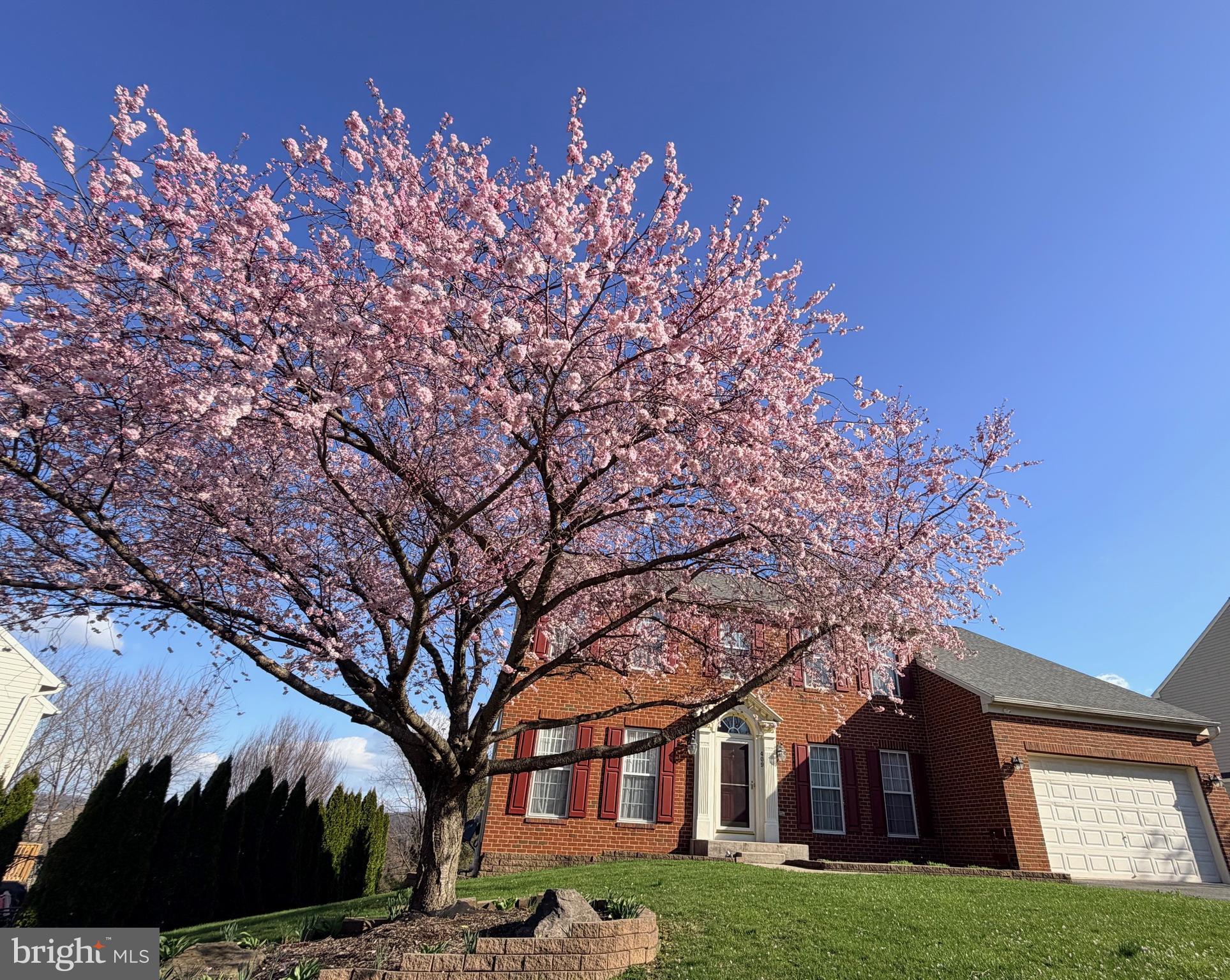 409 Wynwood Road York, PA 17402 - Photo 63 of 64 a tree in front of a house with a yard