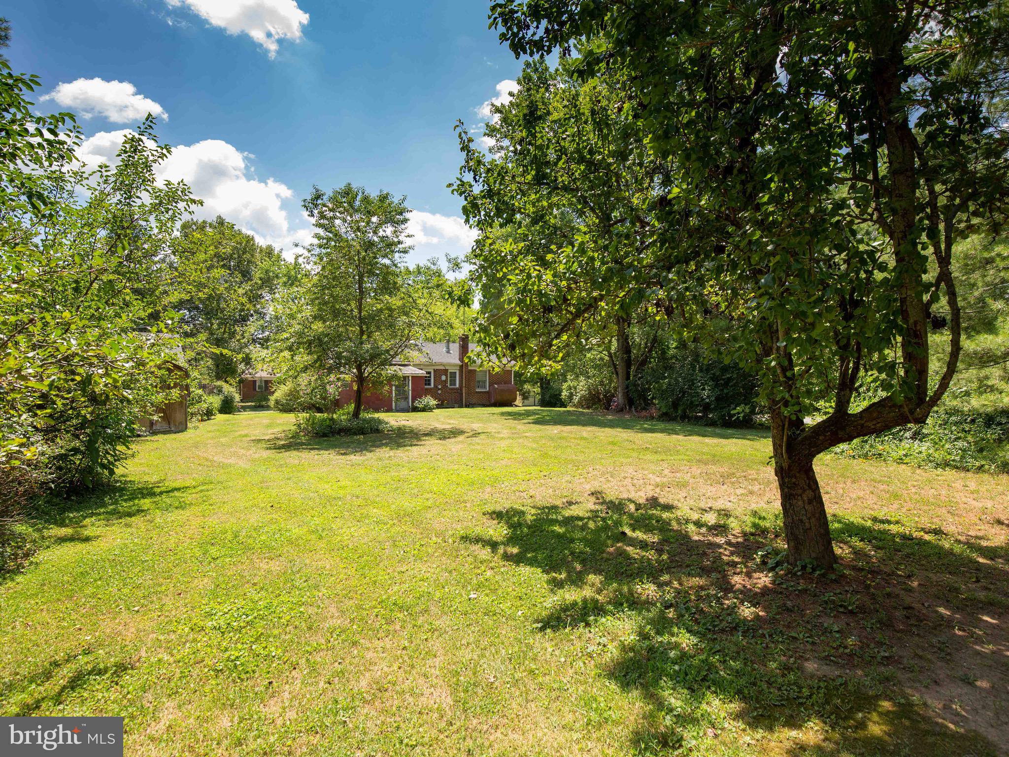 434 Ritter Road White Post, VA 22663 - Photo 11 of 30 Back yard