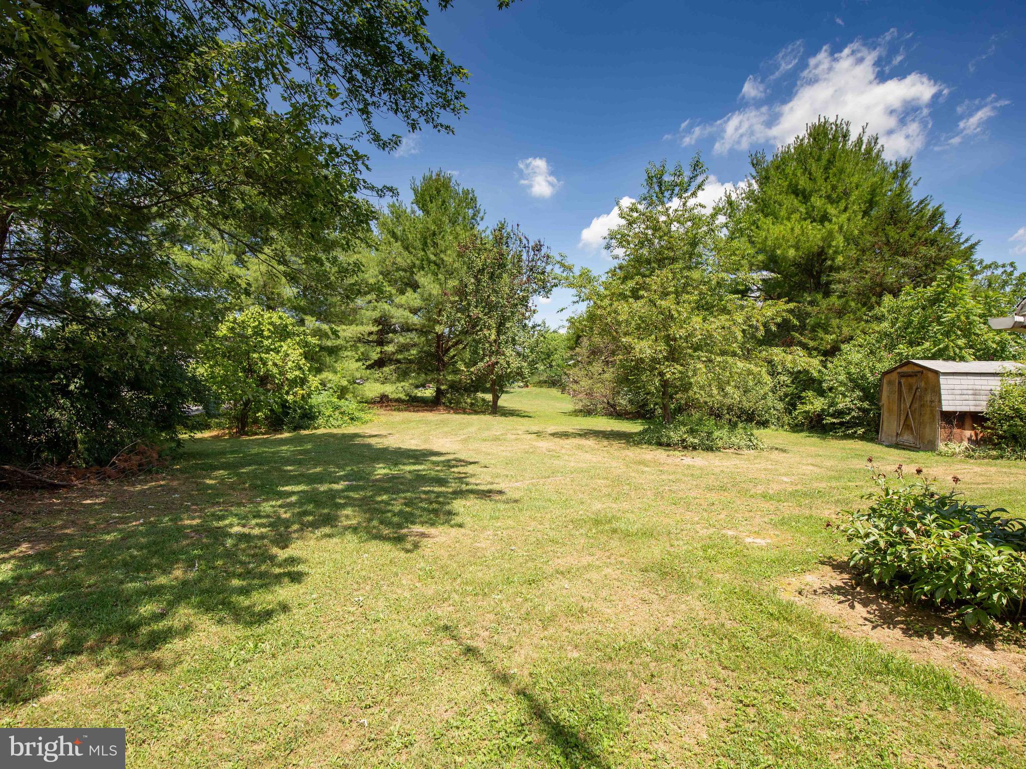 434 Ritter Road White Post, VA 22663 - Photo 9 of 30 Nice level yard