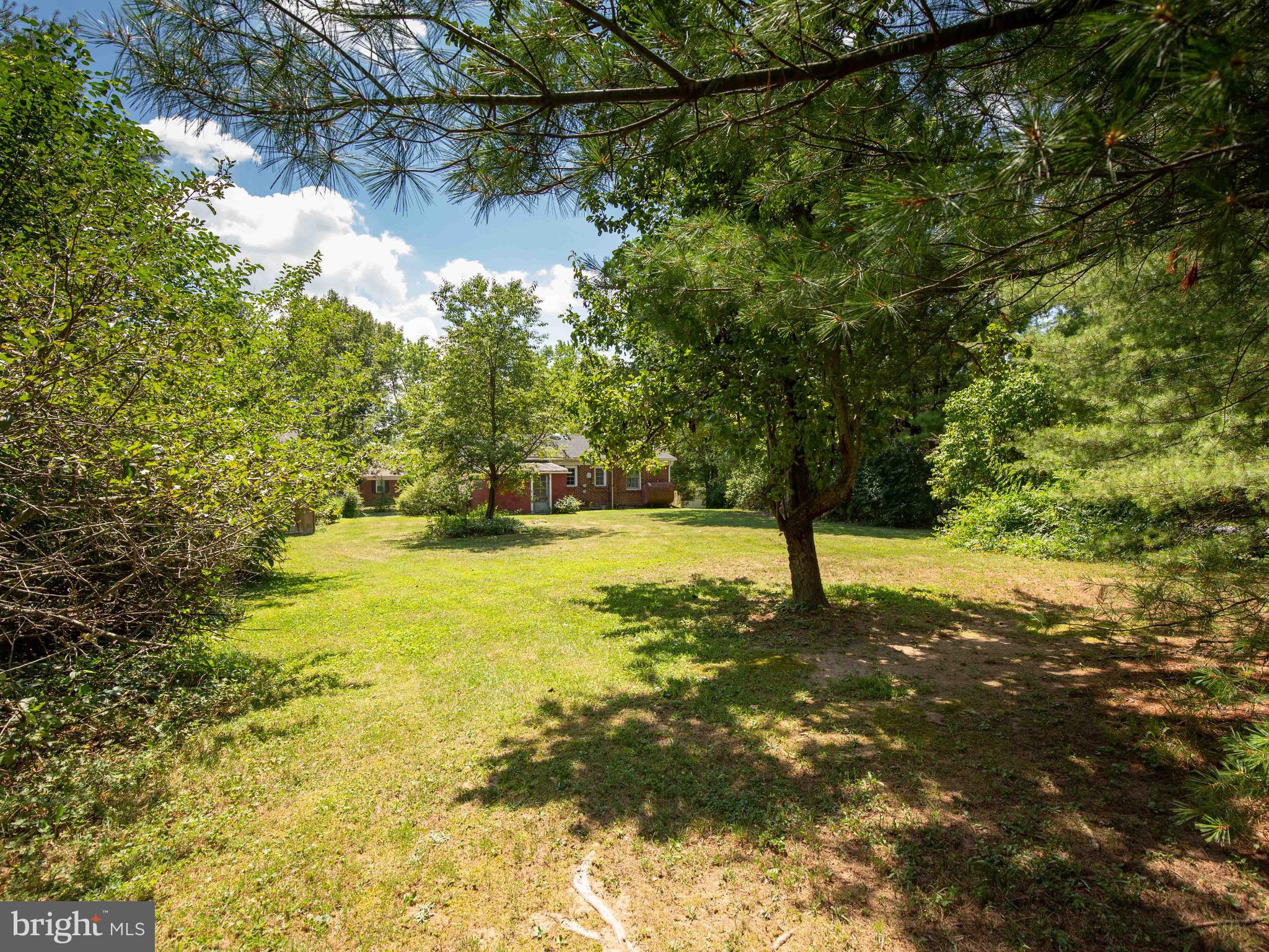 434 Ritter Road White Post, VA 22663 - Photo 10 of 30 Back yard