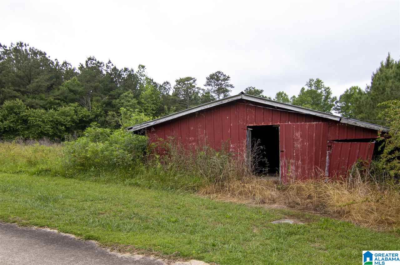 17226 Highway 46 Ranburne, AL 36273 - Photo 31 of 34