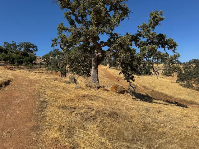 $28,000 | 9786 Mirasol Way, La Grange, CA 95329