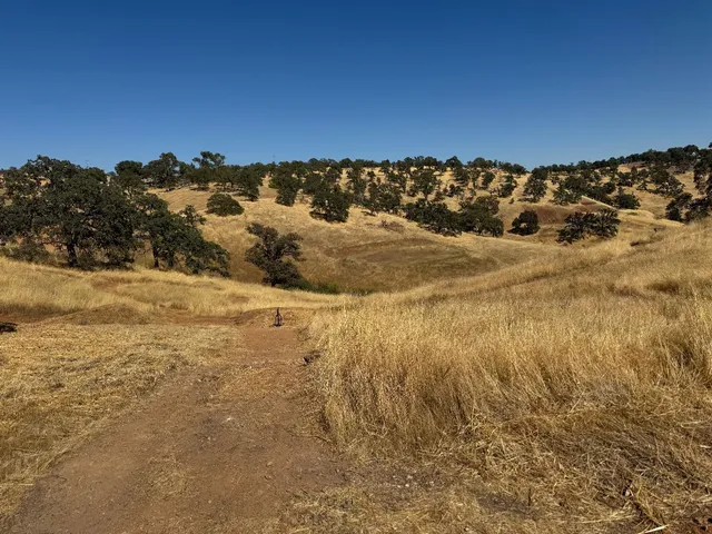 $28,000 | 9786 Mirasol Way, La Grange, CA 95329