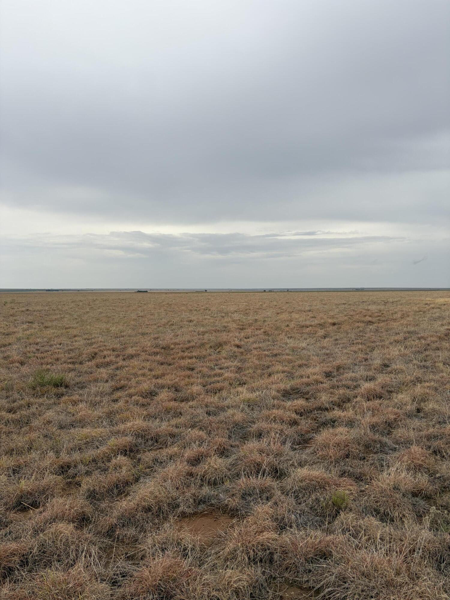 227 Co Road Sudan, TX 79371 - Photo 1 of 15 IMG_4274