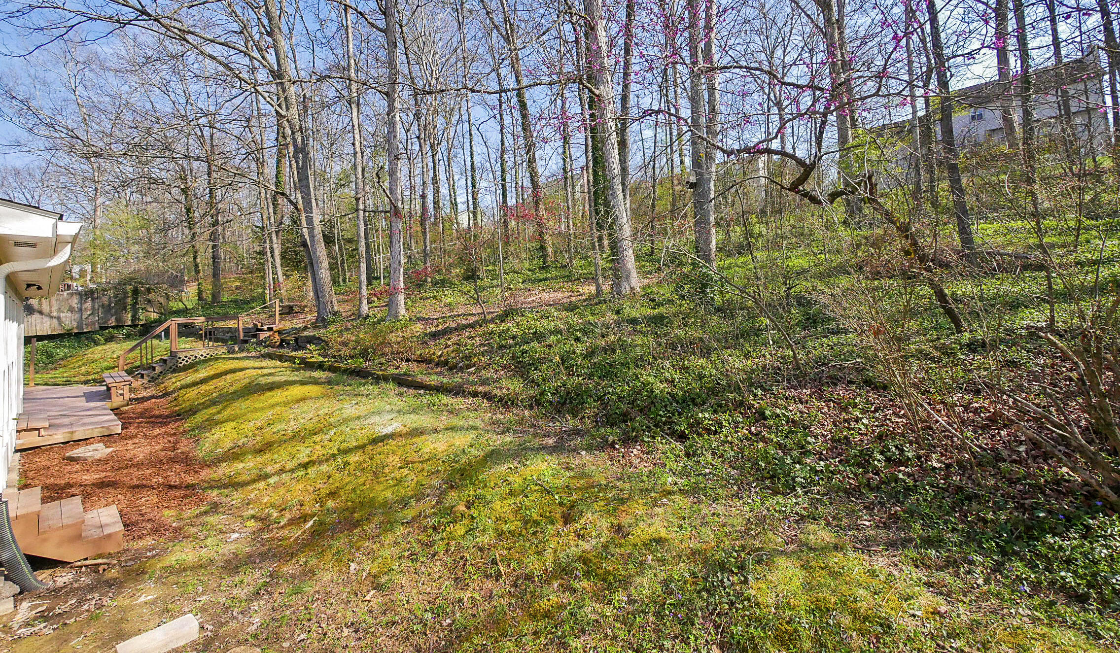 603 Hurricane Creek Road Chattanooga, TN 37421 - Photo 47 of 47 18-P1720820