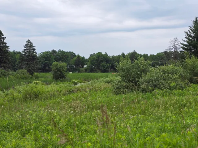 $14,900 | 6172 Lake Road, Barryton, MI 49305