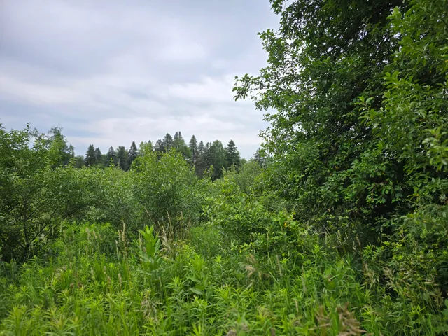 $14,900 | 6172 Lake Road, Barryton, MI 49305