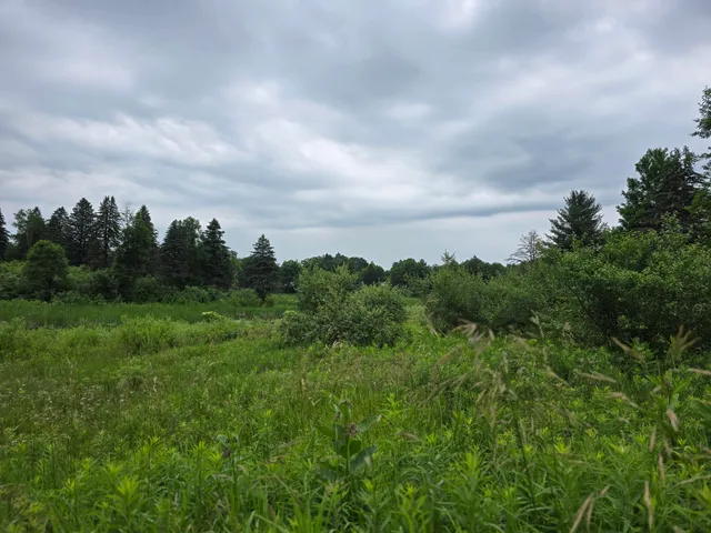 $14,900 | 6172 Lake Road, Barryton, MI 49305