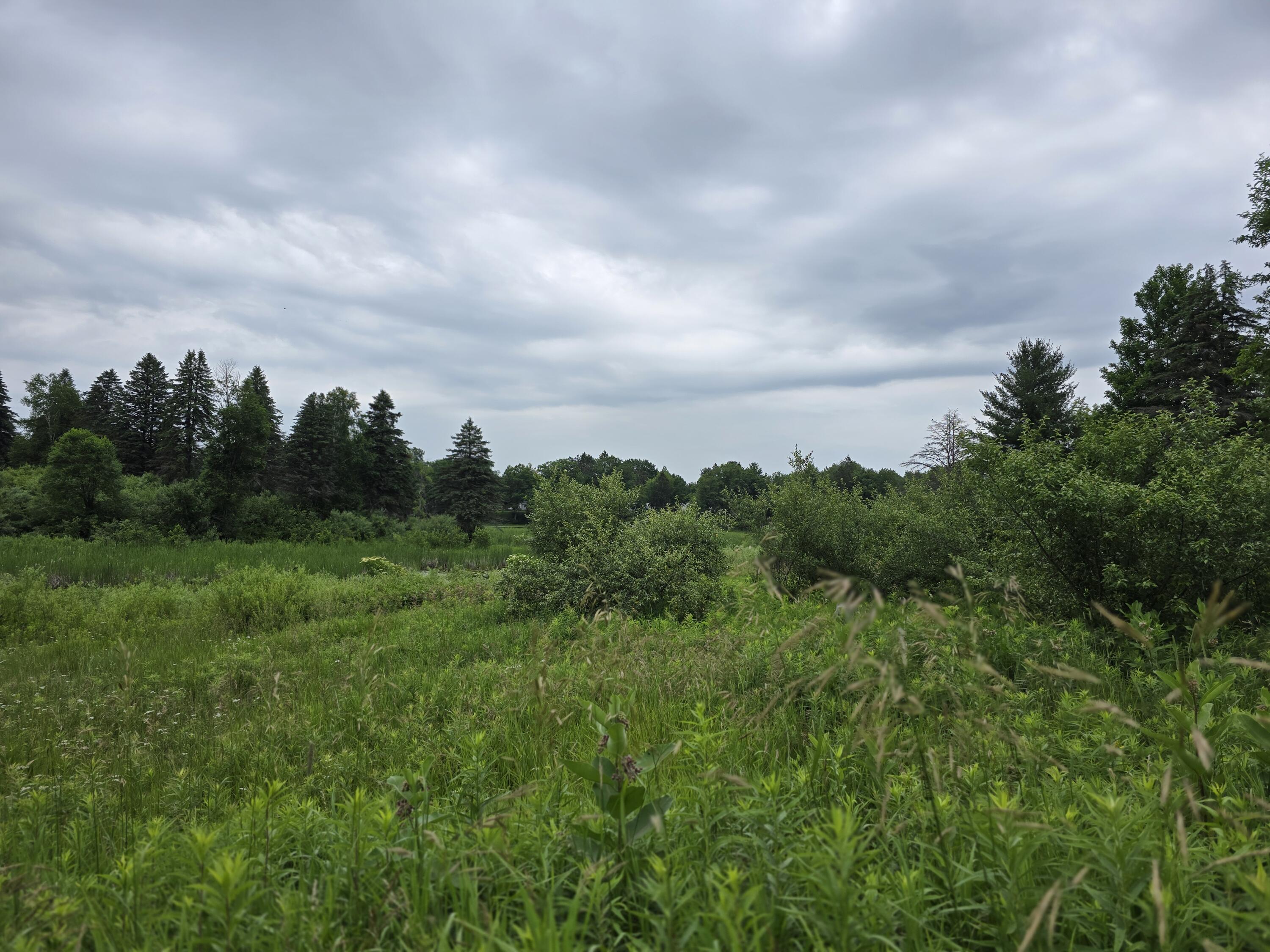 6172 Lake Road Barryton, MI 49305 - Photo 7 of 10 20240628_145417