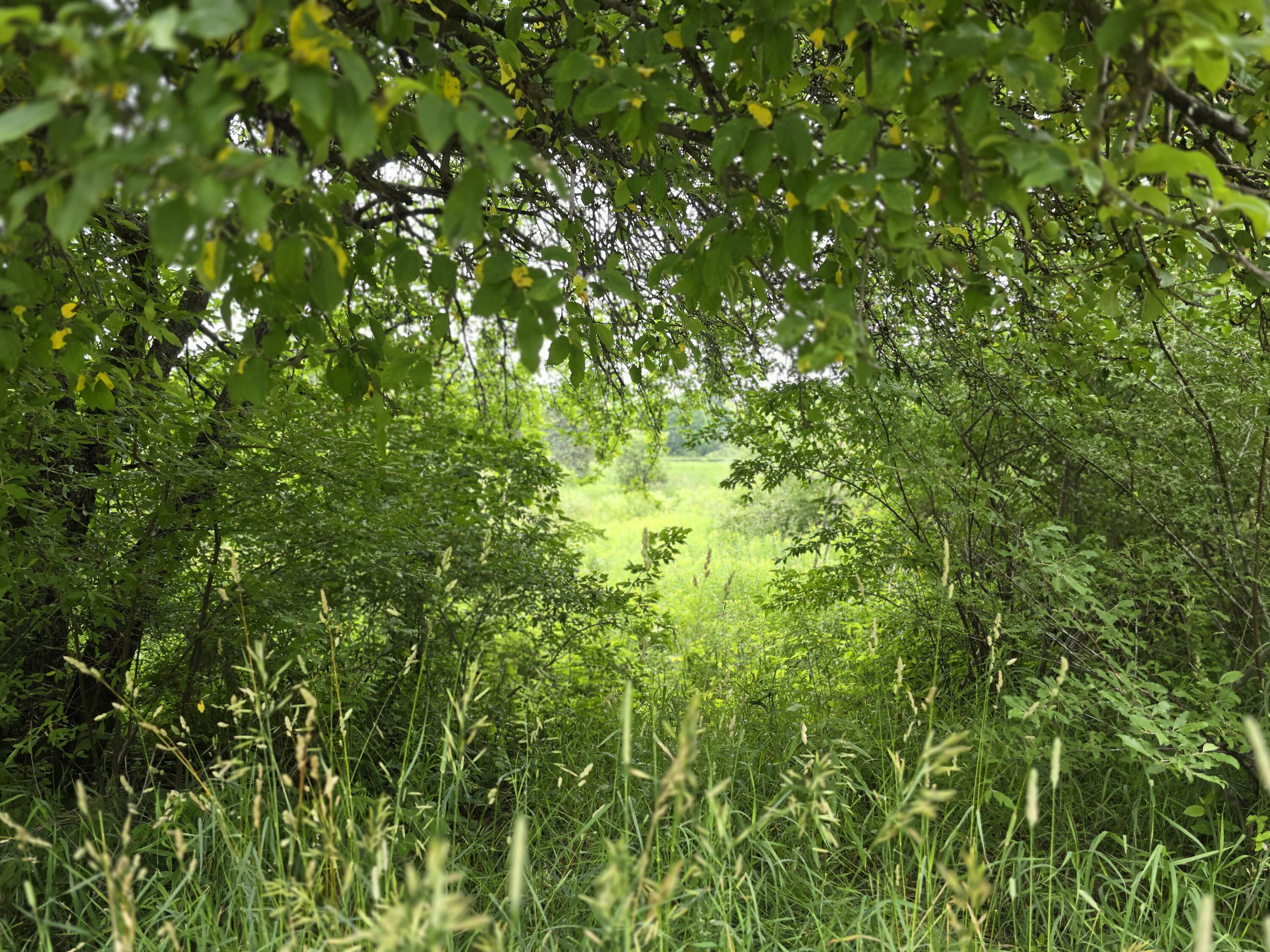 6172 Lake Road Barryton, MI 49305 - Photo 8 of 10 20240628_145332