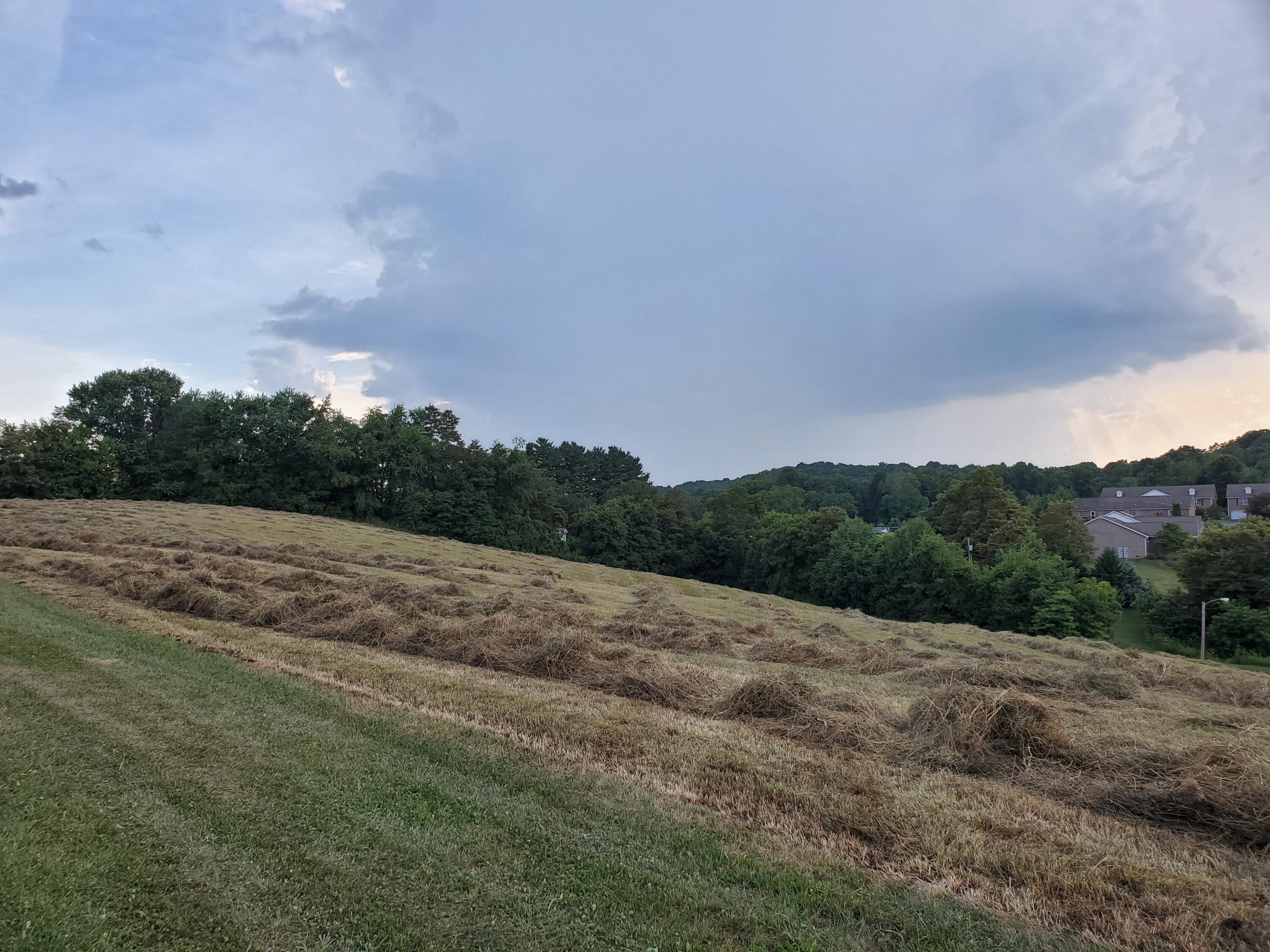Lot 3 Shell Road Jonesborough, TN 37659 - Photo 4 of 10 4
