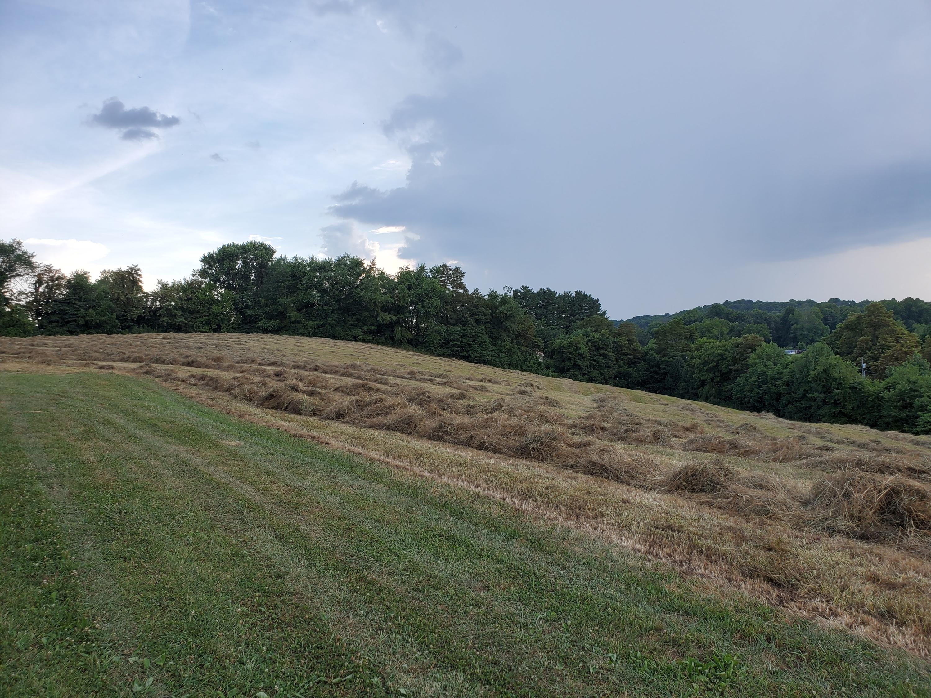 Lot 3 Shell Road Jonesborough, TN 37659 - Photo 8 of 10 20200720_190146