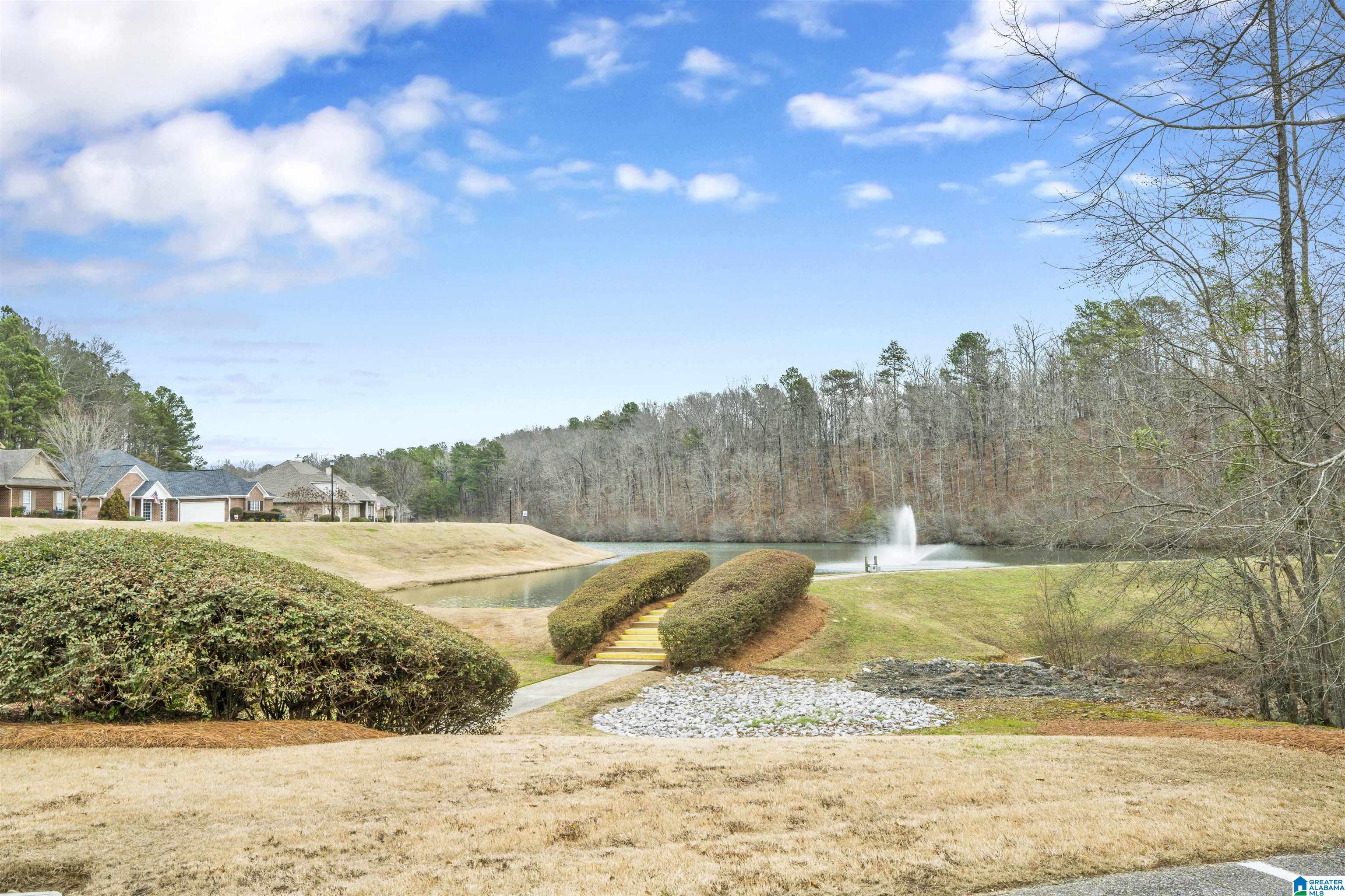 541 Chesser Circle Chelsea, AL 35043 - Photo 47 of 48