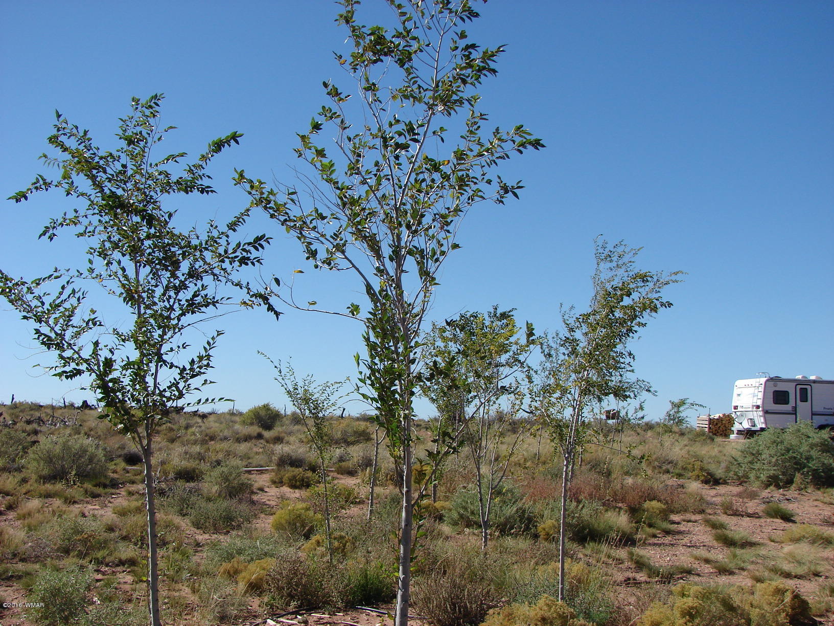 8367 Sharp Trail Snowflake, AZ 85937 - Photo 3 of 16 Gallery Image 3