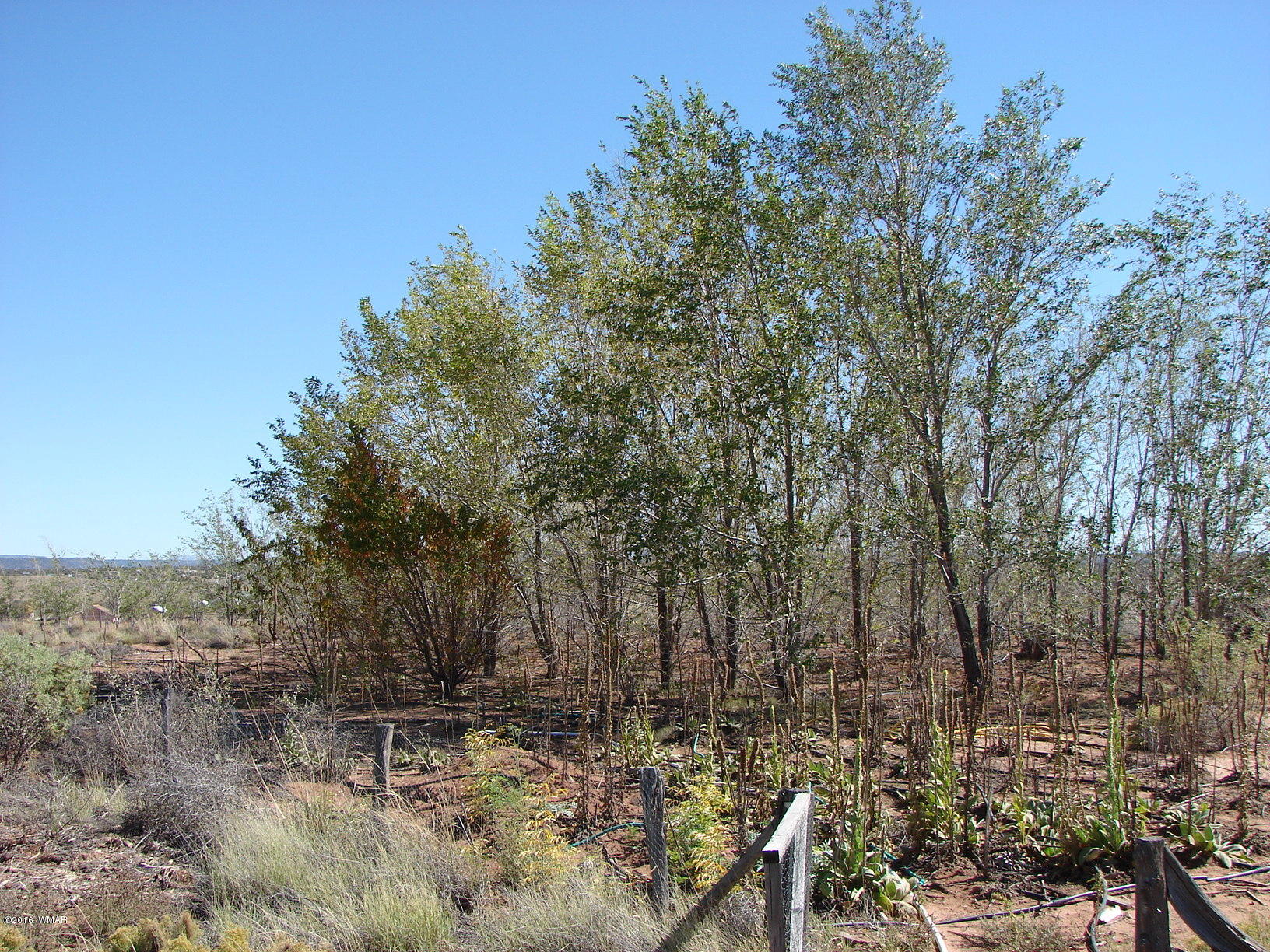 8367 Sharp Trail Snowflake, AZ 85937 - Photo 5 of 16 Gallery Image 5