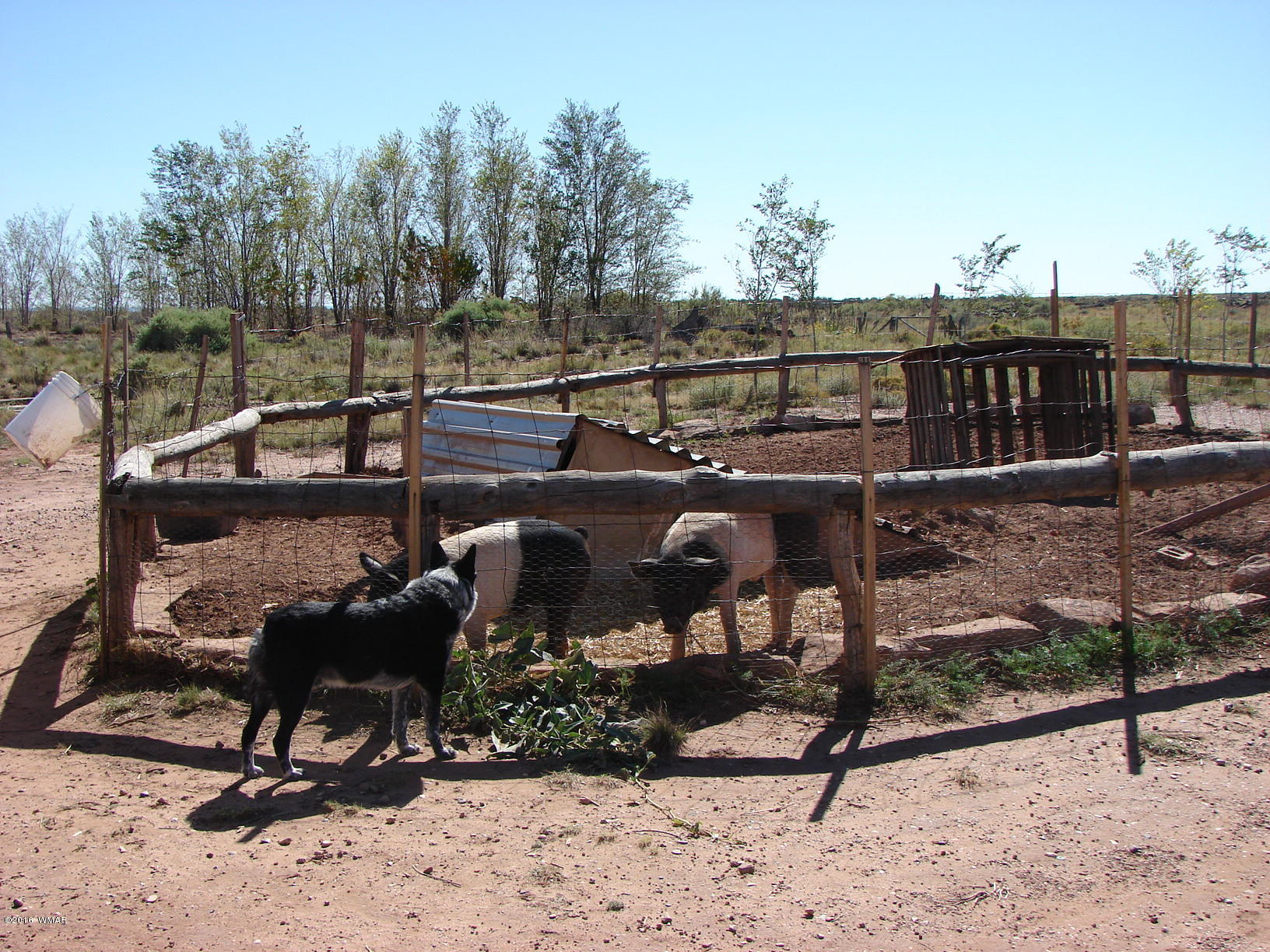 8367 Sharp Trail Snowflake, AZ 85937 - Photo 6 of 16 Gallery Image 6