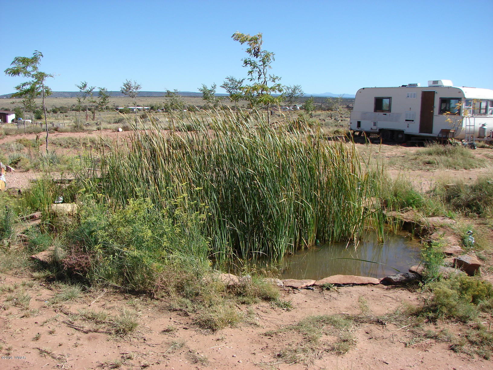8367 Sharp Trail Snowflake, AZ 85937 - Photo 9 of 16 Gallery Image 9