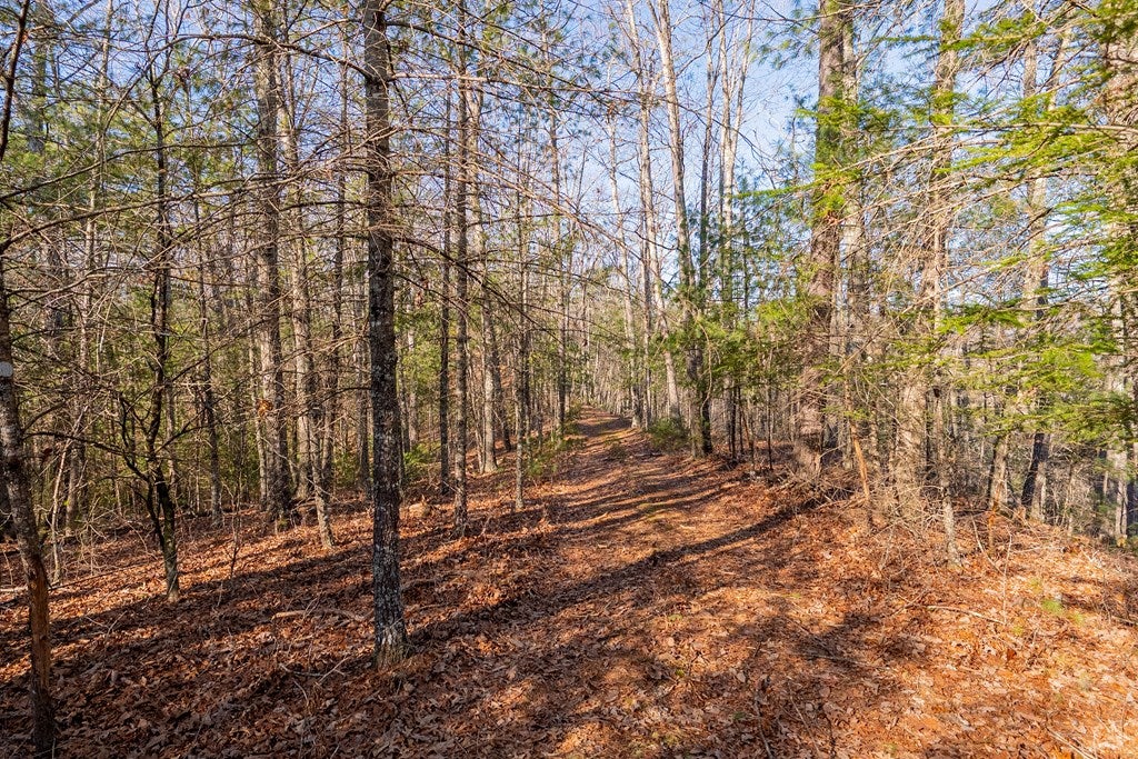 Tbd Kimberling Road, Unit 10A 10B2 Bland, VA 24315 - Photo 39 of 72 Gallery Image 39