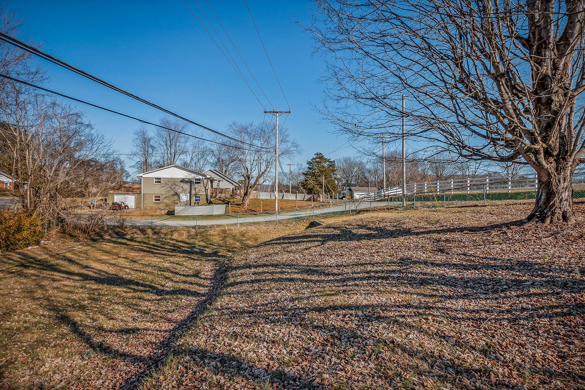 304 South Young Street Sparta, TN 38583 - Photo 5 of 20 a view of yard with large tree