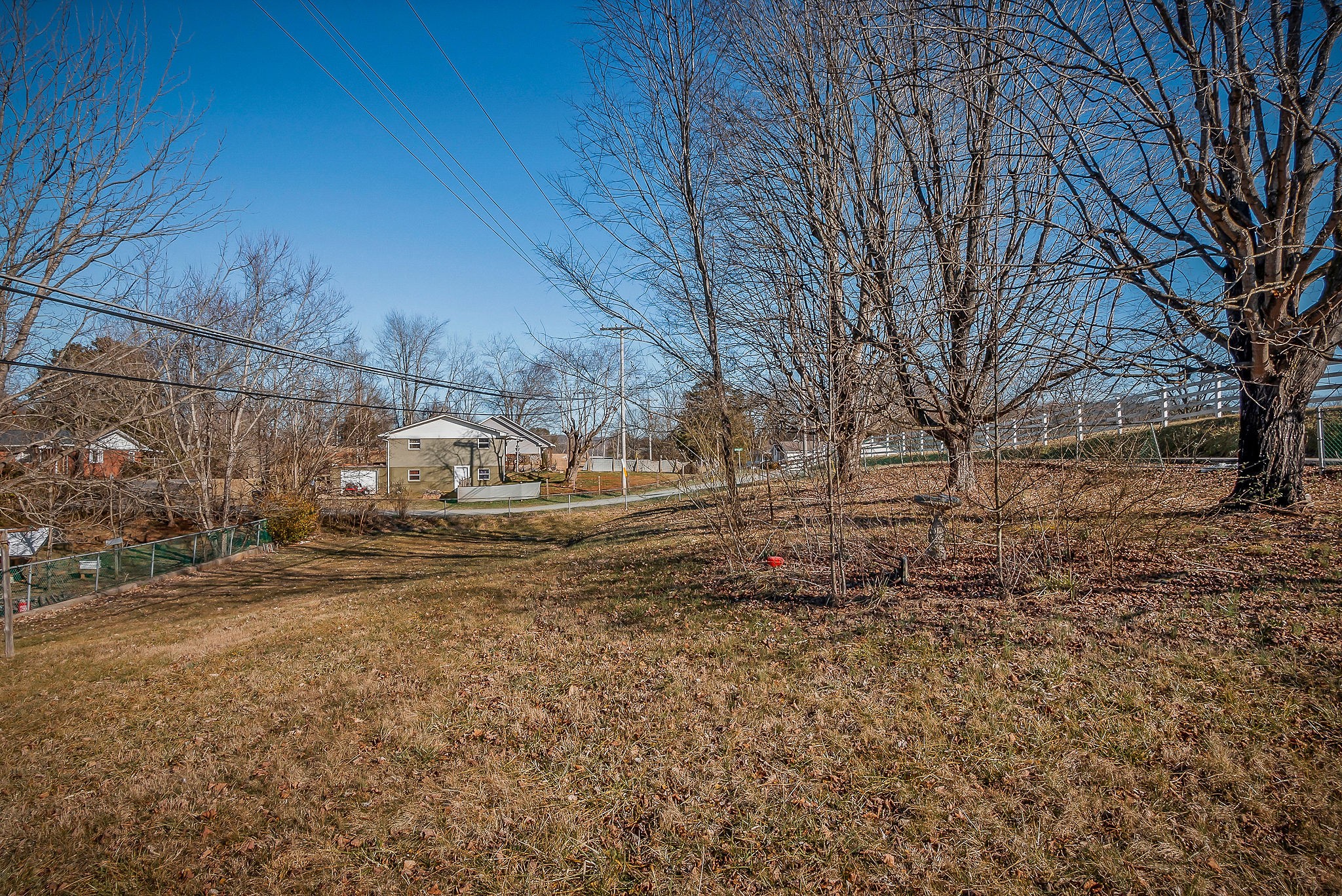 304 South Young Street Sparta, TN 38583 - Photo 6 of 20 a view of dirt yard with a large tree