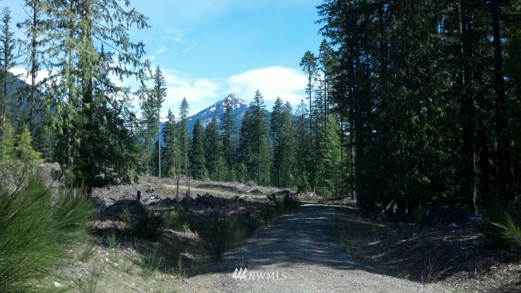 -xx01 Xx01 Craig Road Packwood, WA 98361 - Photo 3 of 3