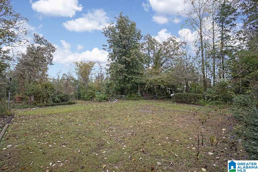 1336 14th Street Pleasant Grove, AL 35127 - Photo 7 of 34