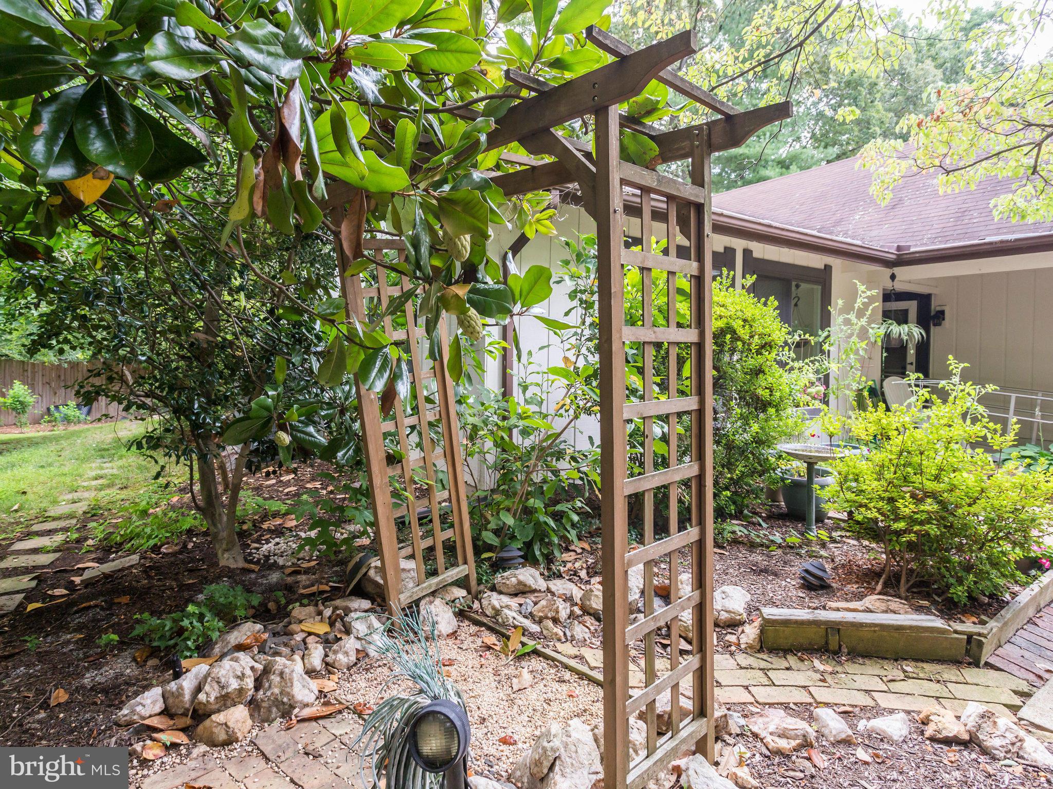 5337 Aylor Road Fairfax, VA 22032 - Photo 23 of 30 Front Patio View 3