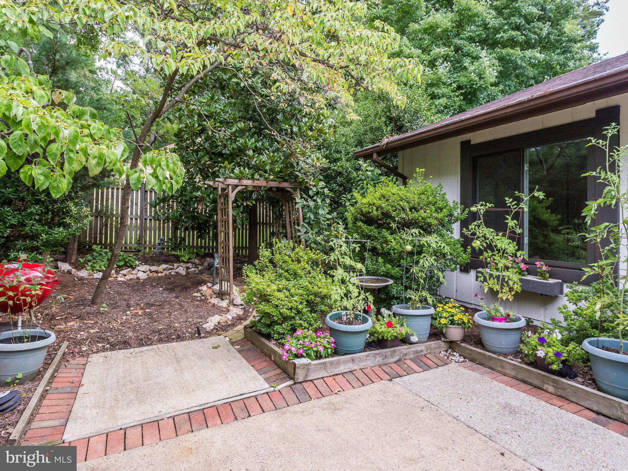 5337 Aylor Road Fairfax, VA 22032 - Photo 24 of 30 Front Patio View 4