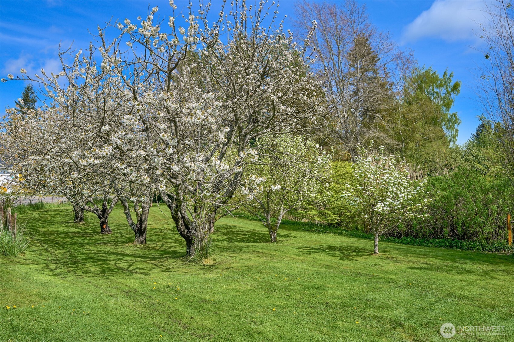 4186 Rural Avenue Bellingham, WA 98226 - Photo 33 of 40 a view of a field with a tree