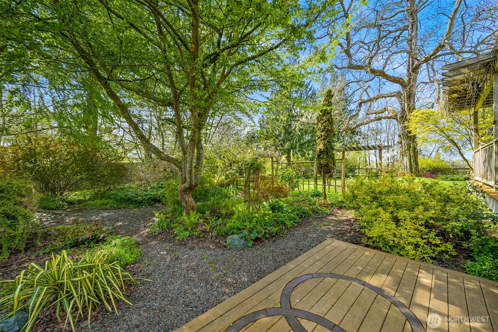 4186 Rural Avenue Bellingham, WA 98226 - Photo 38 of 40 a view of a yard with plants and trees