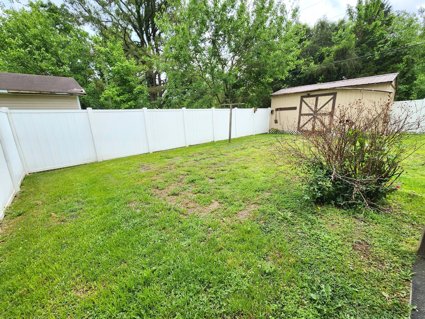 202 Lincoln Street Karnak, IL 62956 - Photo 24 of 45 a view of a backyard