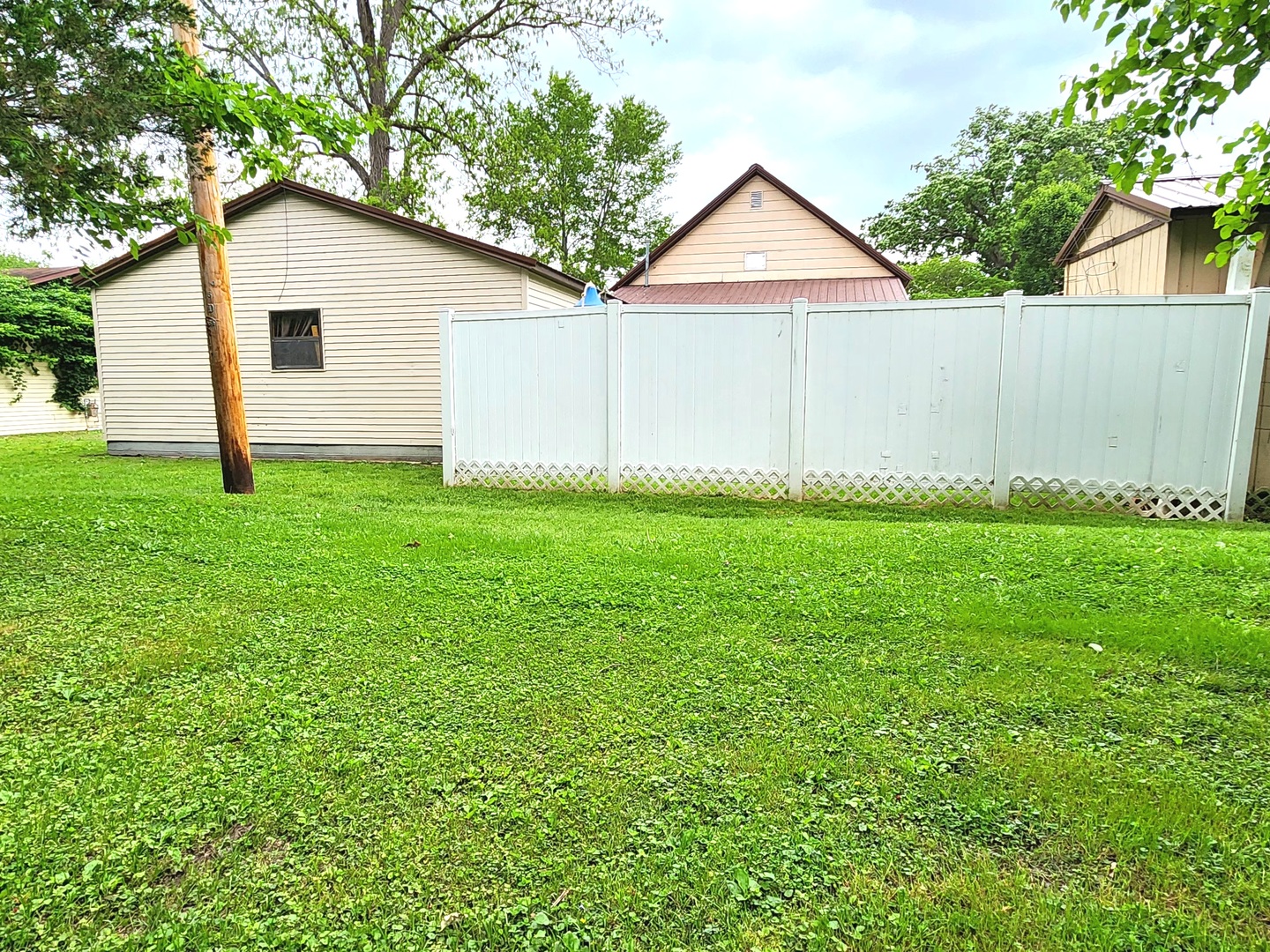 202 Lincoln Street Karnak, IL 62956 - Photo 29 of 45 a backyard of a white house with potted plants and a large tree