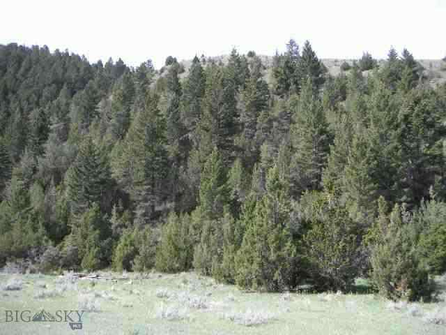 229 Pole Gulch Road Three Forks, MT 59752 - Photo 1 of 1 Gallery Image 1