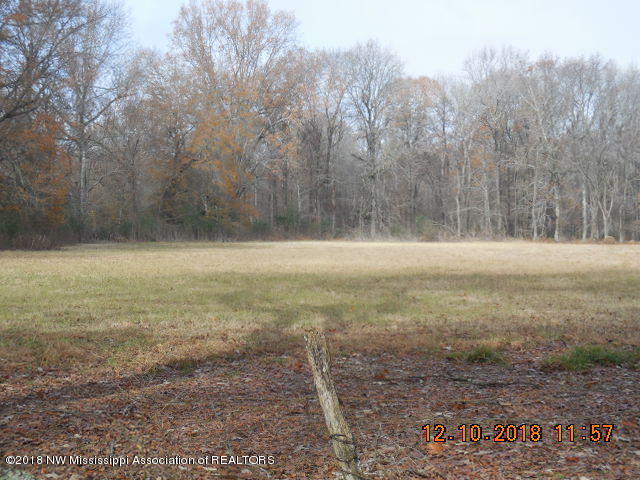 0 Tate Panola Road Senatobia, MS 38668 - Photo 1 of 6 DSCN3160