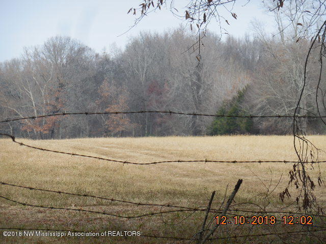 0 Tate Panola Road Senatobia, MS 38668 - Photo 2 of 6 DSCN3164