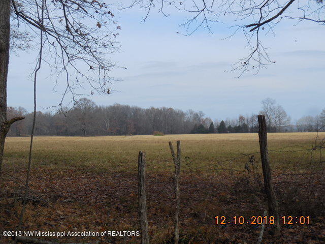 0 Tate Panola Road Senatobia, MS 38668 - Photo 4 of 6 DSCN3161