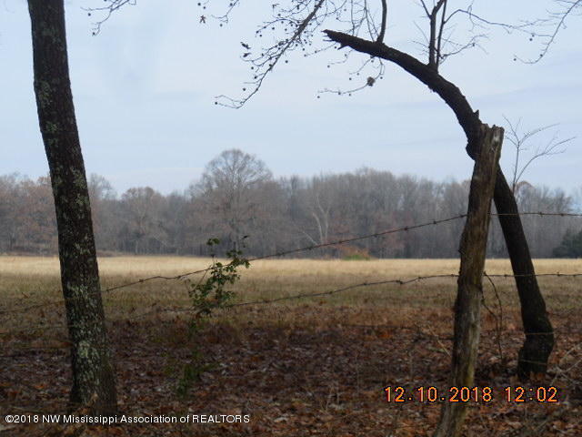 0 Tate Panola Road Senatobia, MS 38668 - Photo 5 of 6 DSCN3162