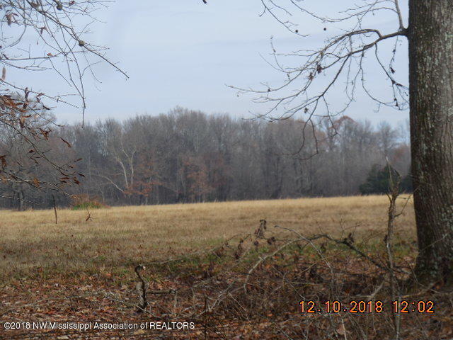 0 Tate Panola Road Senatobia, MS 38668 - Photo 6 of 6 DSCN3163