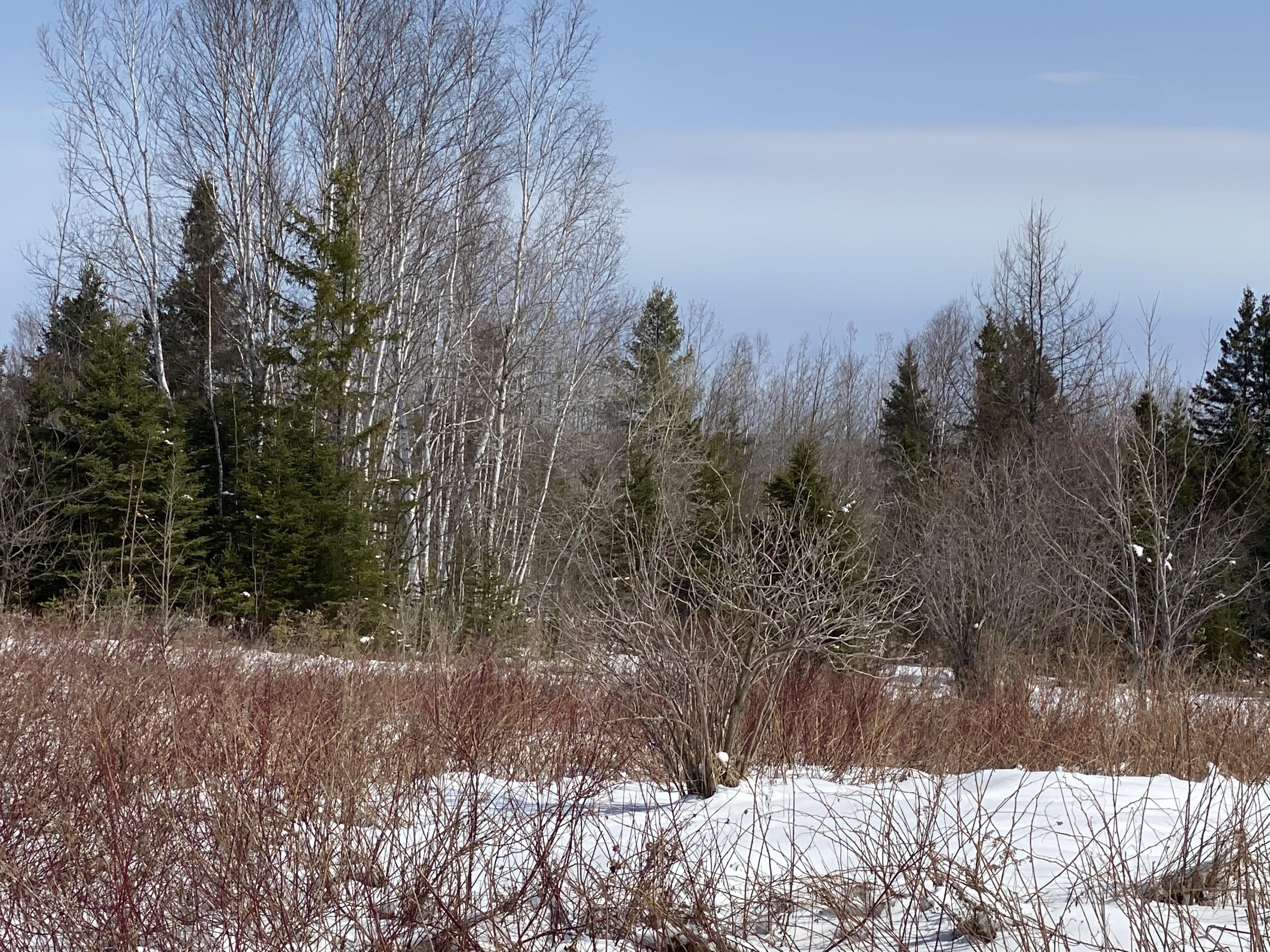512 W Road New Sweden, ME 04762 - Photo 59 of 98 512 West Rd New Sweden March 2021 (1)