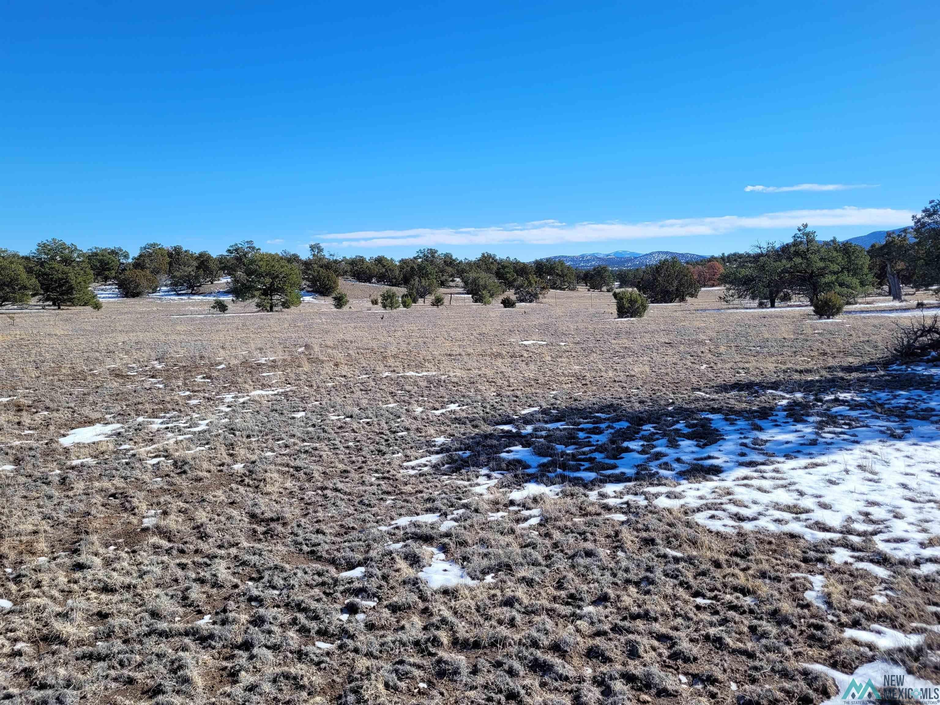 1 Jackass Lane, Unit 1 Datil, NM 87821 - Photo 12 of 46 Water view with rural landscape