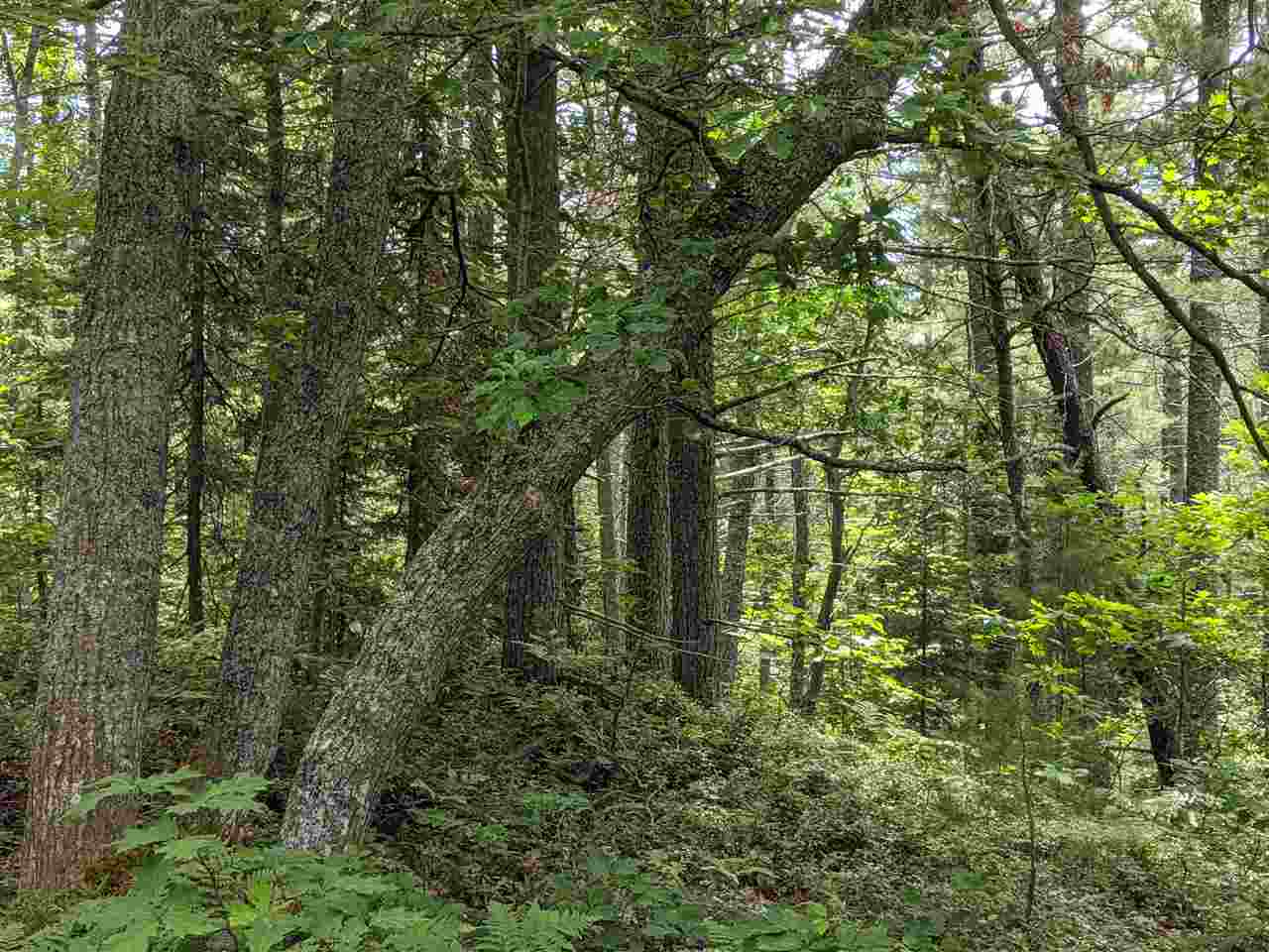 30714 West Cemetery Road Paradise, MI 49768 - Photo 40 of 73 1877627-42.JPG