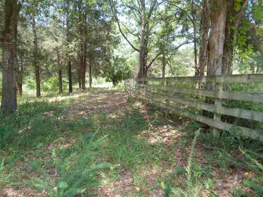 700 Lake Secession Road Anderson, SC 29621 - Photo 6 of 23