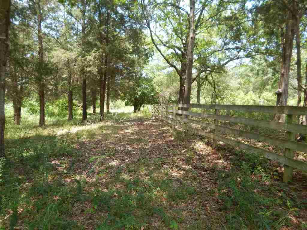 700 Lake Secession Road Anderson, SC 29621 - Photo 7 of 23