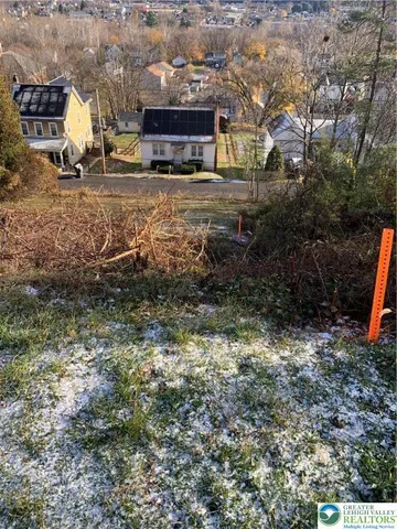 a view of a yard with large trees