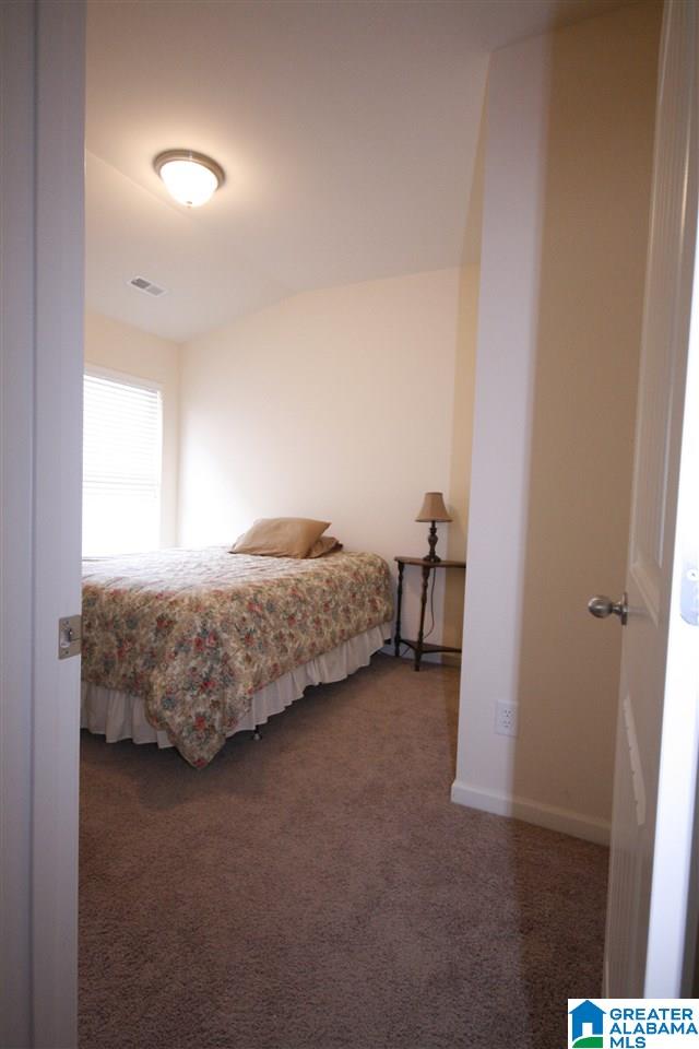 125 Blueberry Cove Springville, AL 35146 - Photo 19 of 20