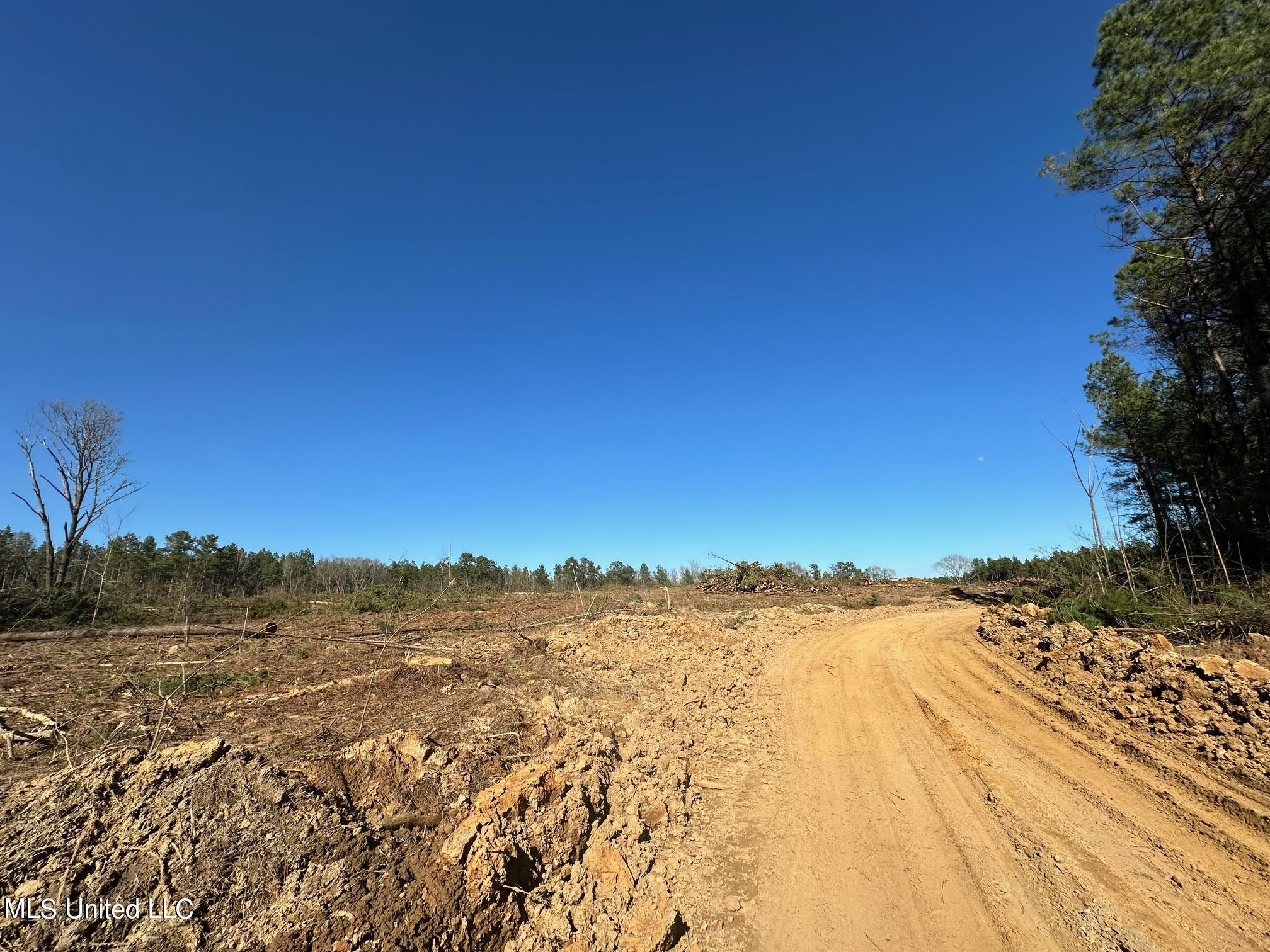 2 Decatur Stratton Road Decatur, MS 39327 - Photo 4 of 16 31